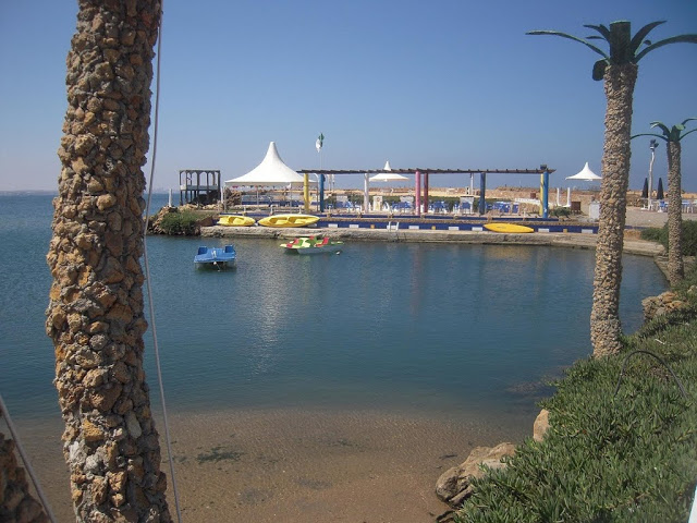 Marina Palm, Алжир