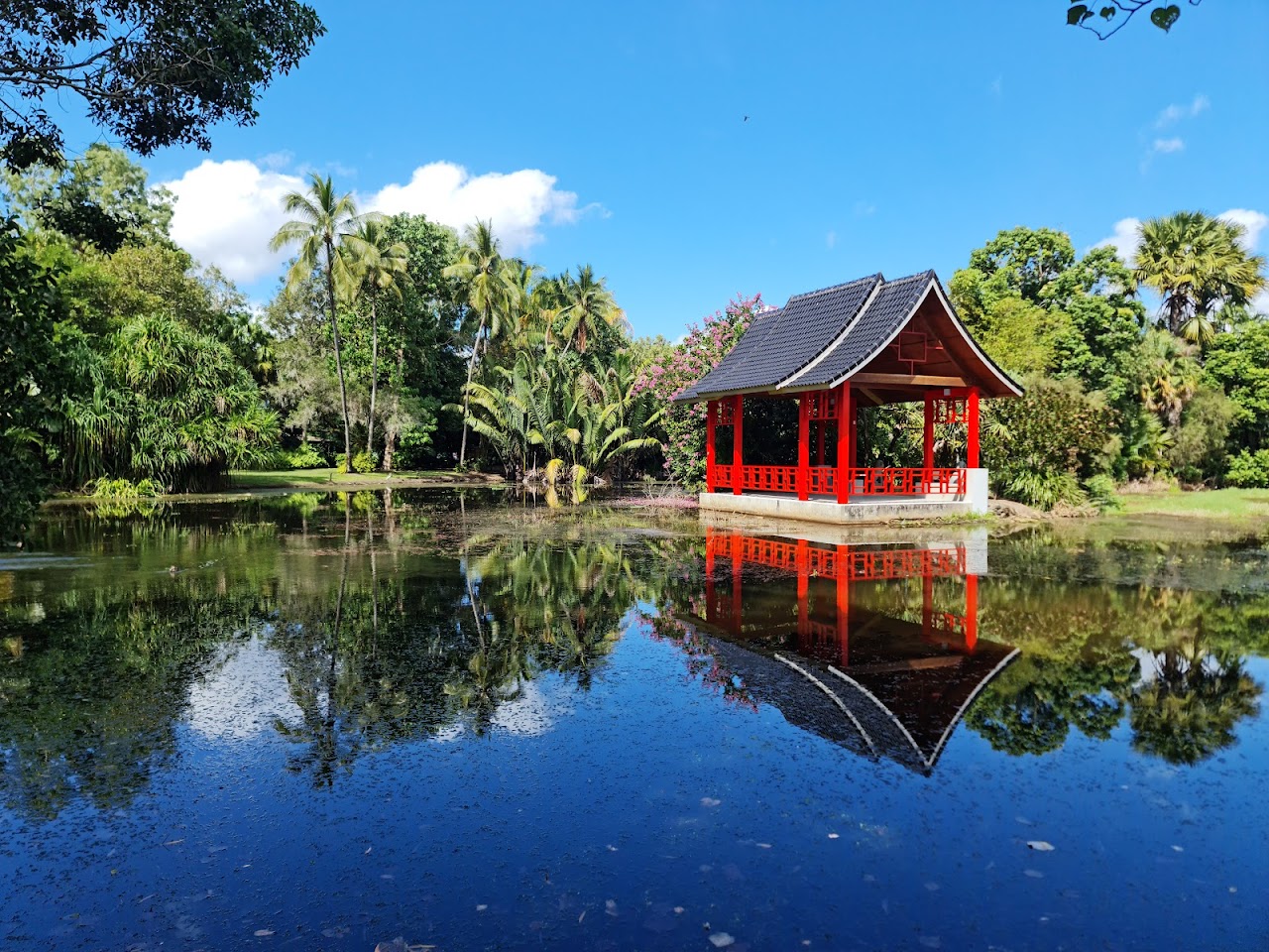 Cairns Chinese Friendship Garden, Кэрнс