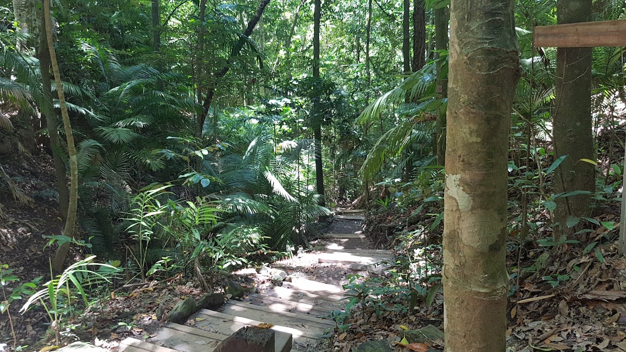 Blue Arrow Circuit Aeroglen Lookout