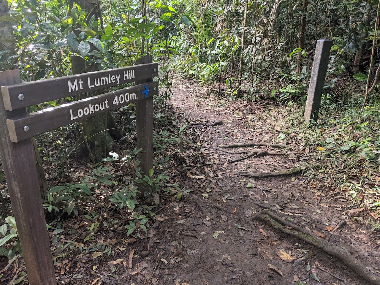 Blue Arrow Circuit Aeroglen Lookout