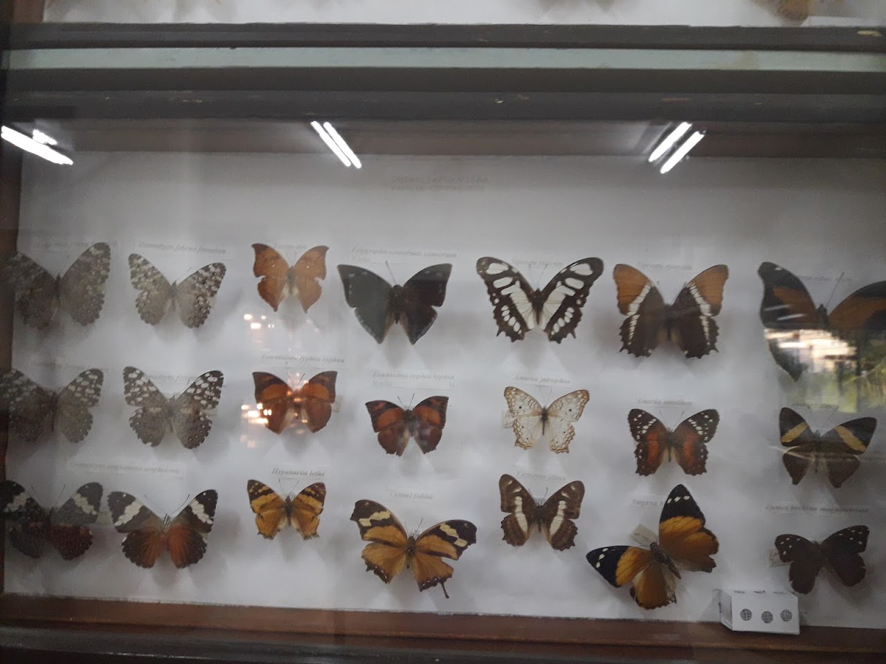 Noel Kempff Mercado Natural History Museum, Санта-Крус-де-ла-Сьерра