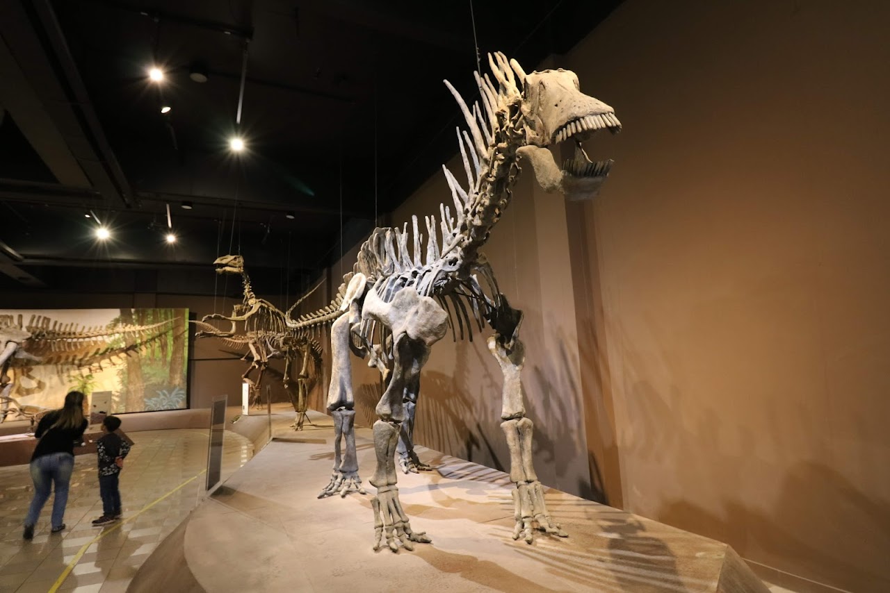 PUC Minas Natural Sciences Museum, Белу-Оризонти