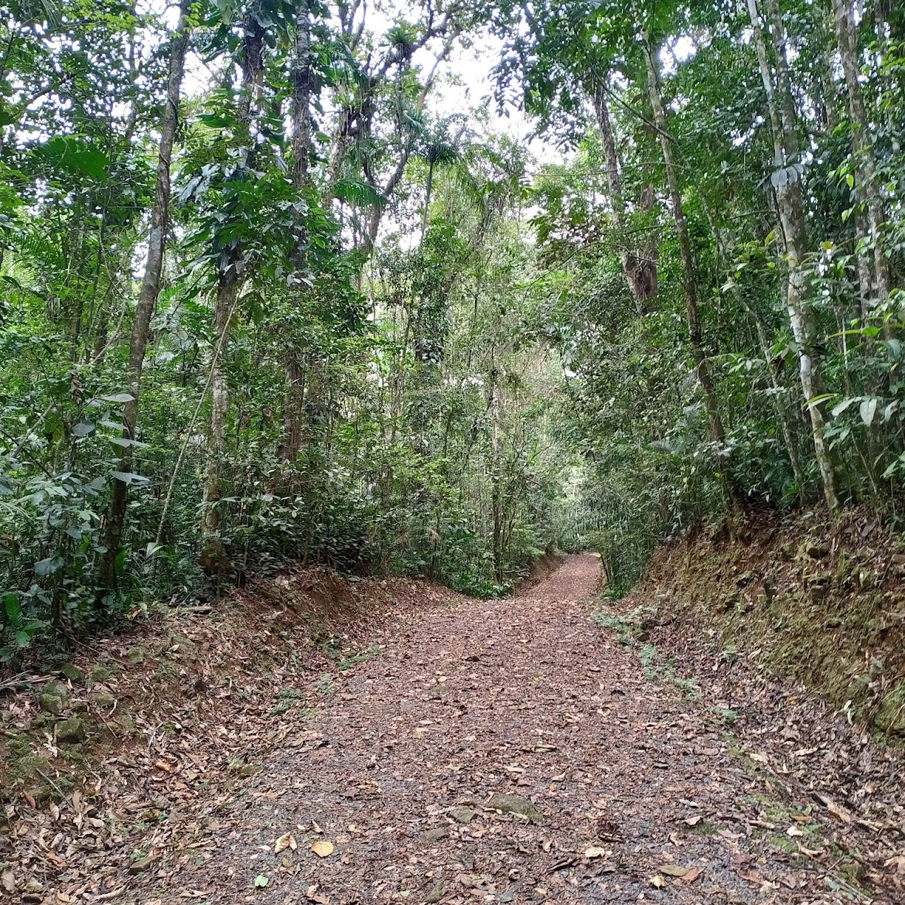 Parque Municipal Morro do Finder, Жоинвили