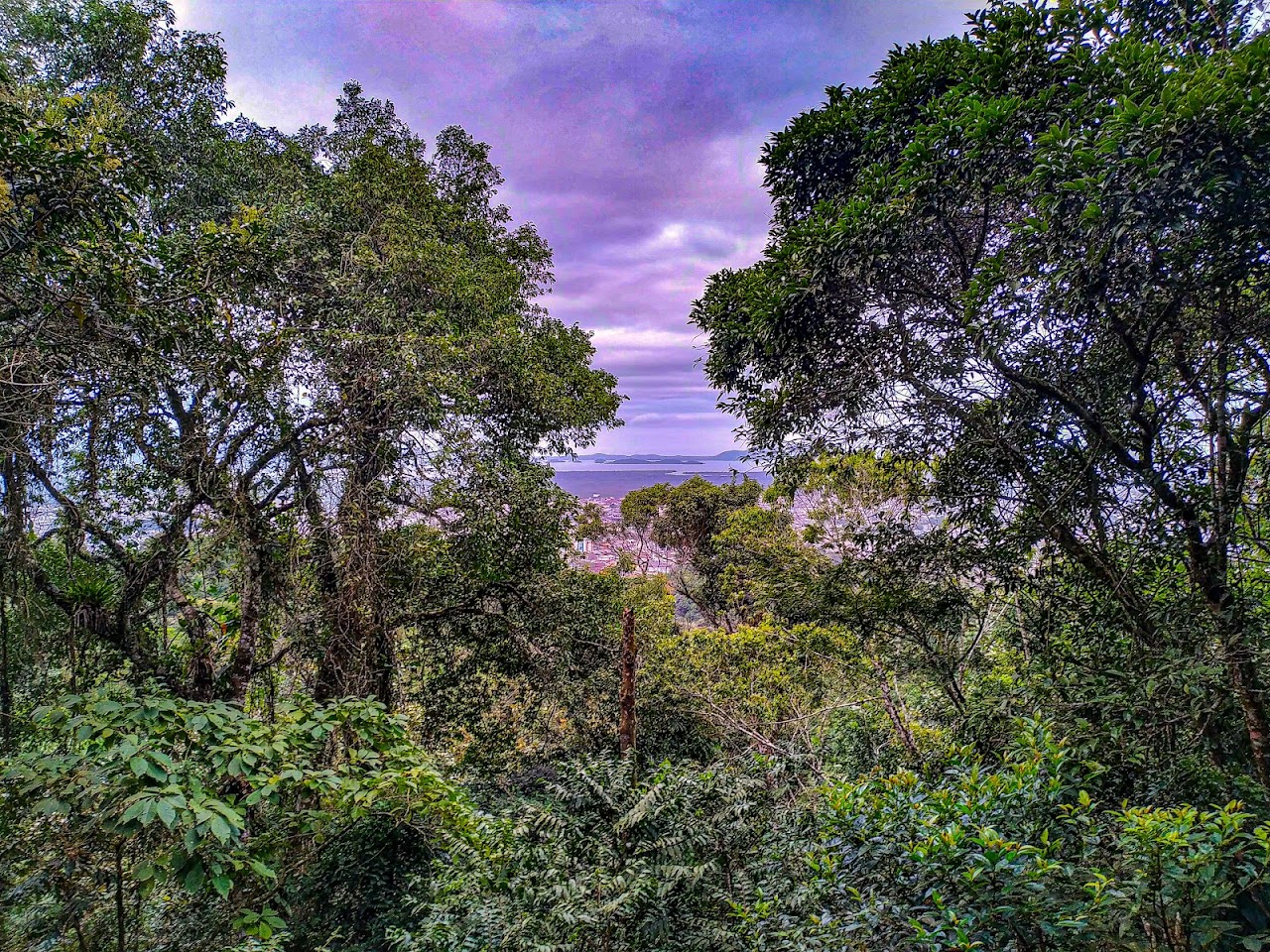 Parque Municipal Morro do Finder