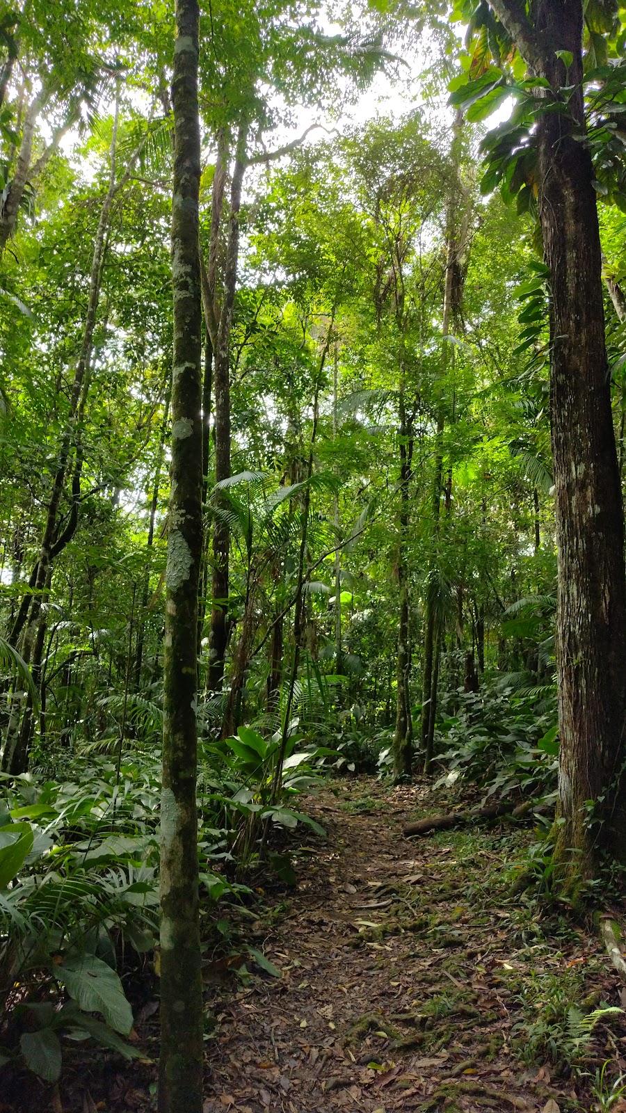 Parque Municipal Morro do Finder
