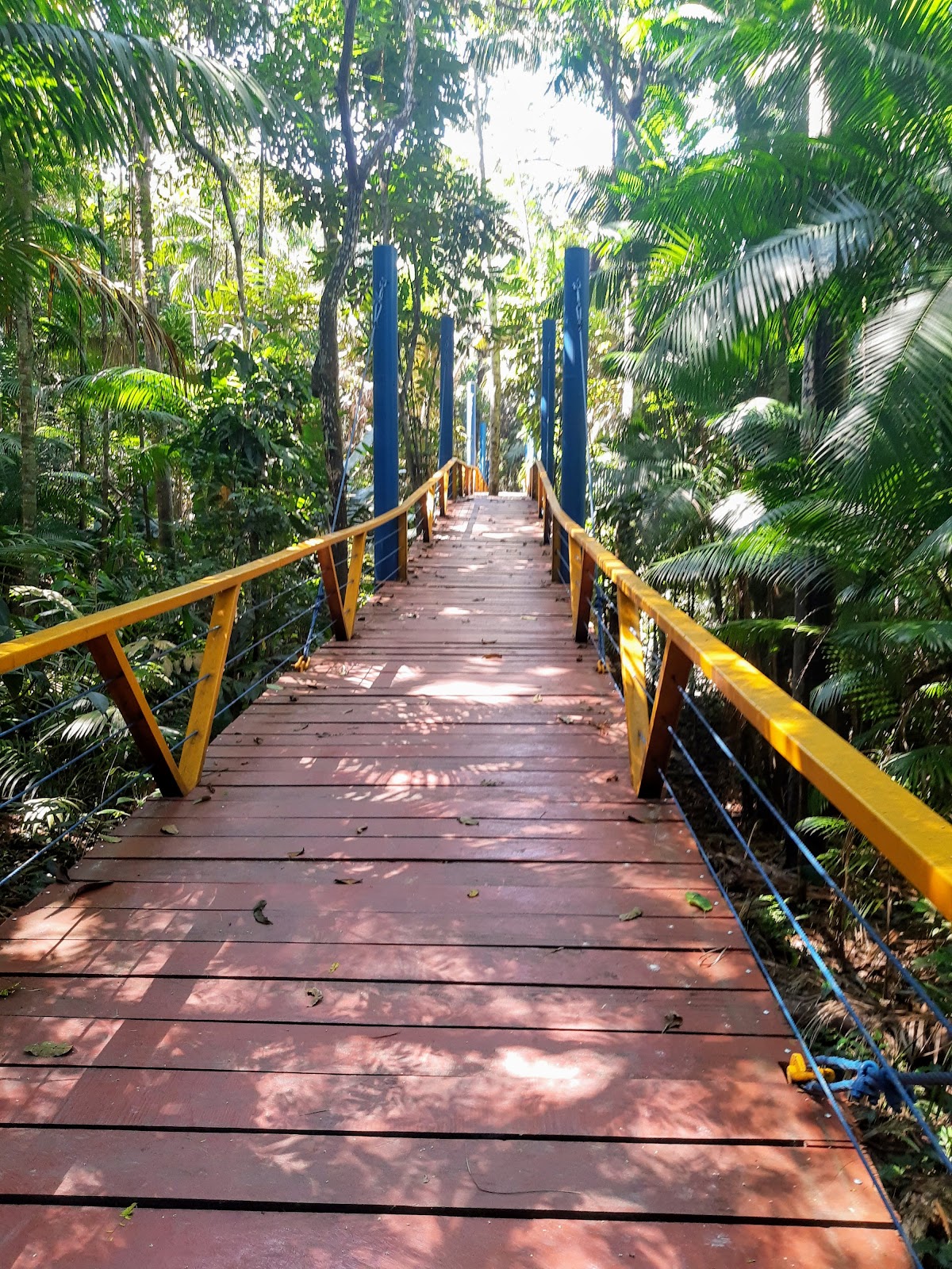 Parque Municipal do Mindu, Манаус