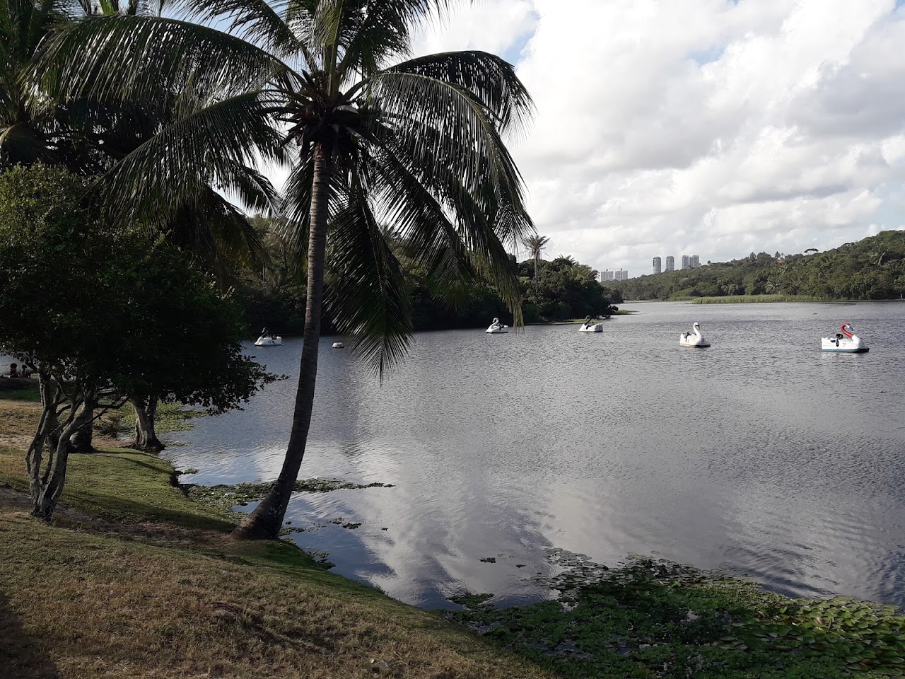 Pituaçu Metropolitan Park