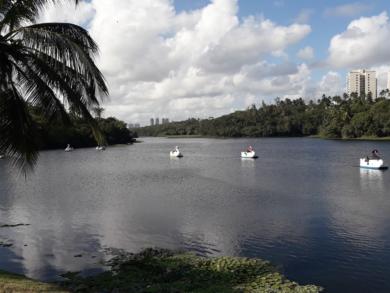 Pituaçu Metropolitan Park