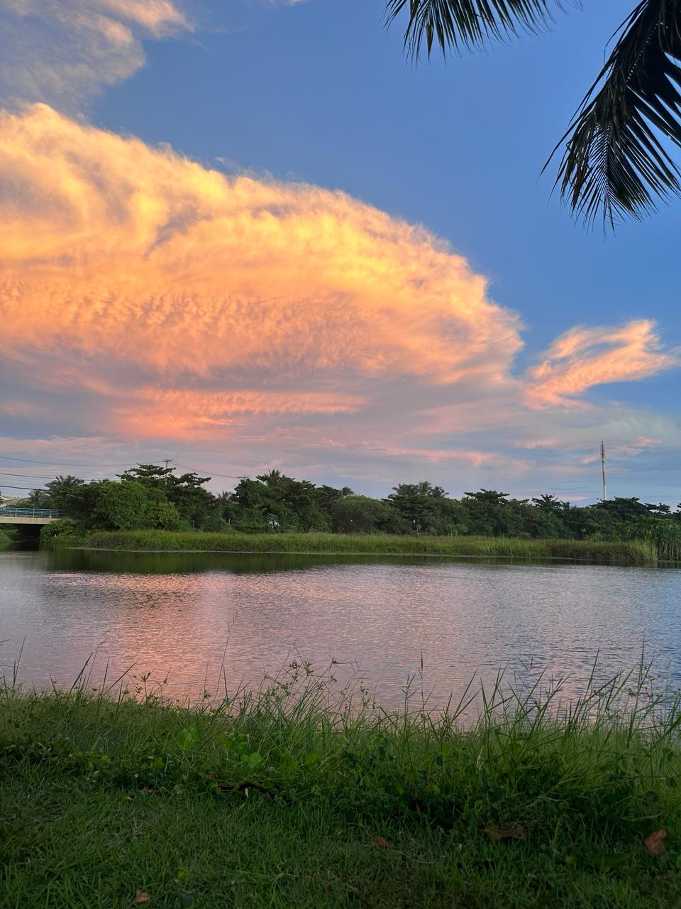Lagoa da Maria Padilha, Салвадор
