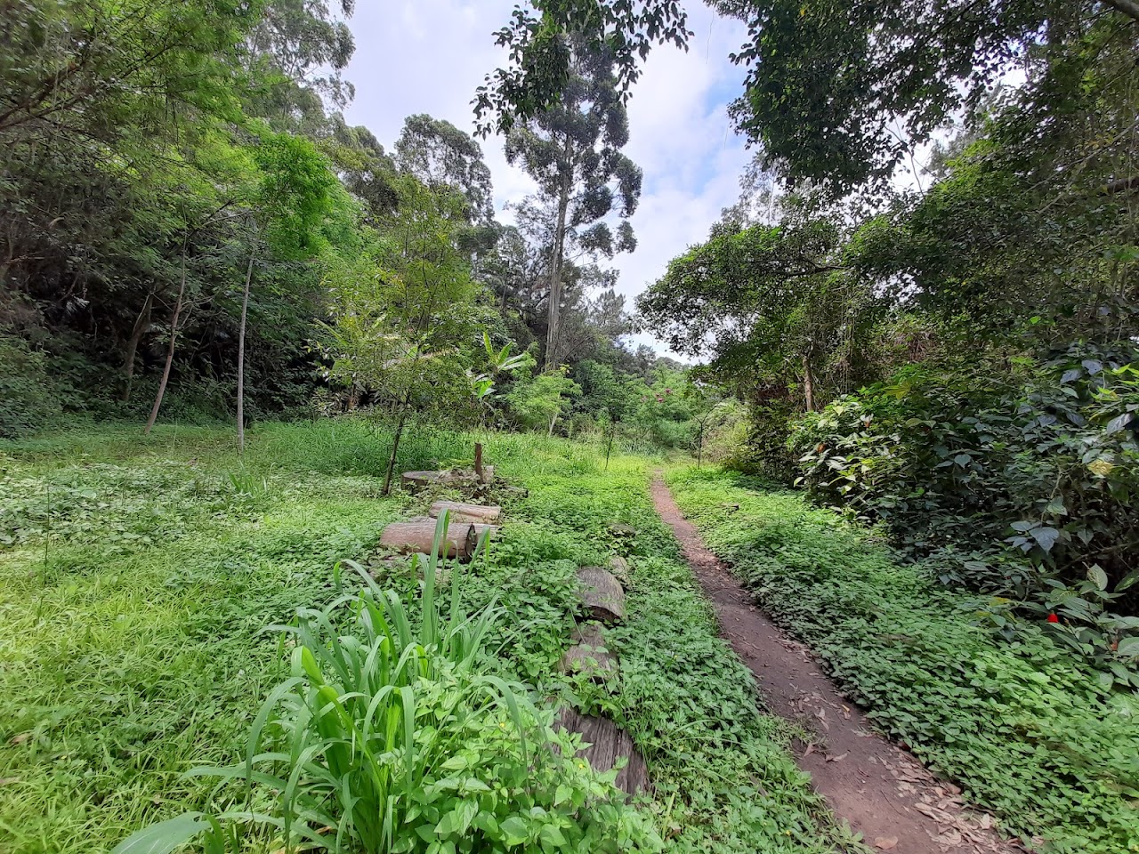 Cordeiro Municipal Park (Martin Luther King)