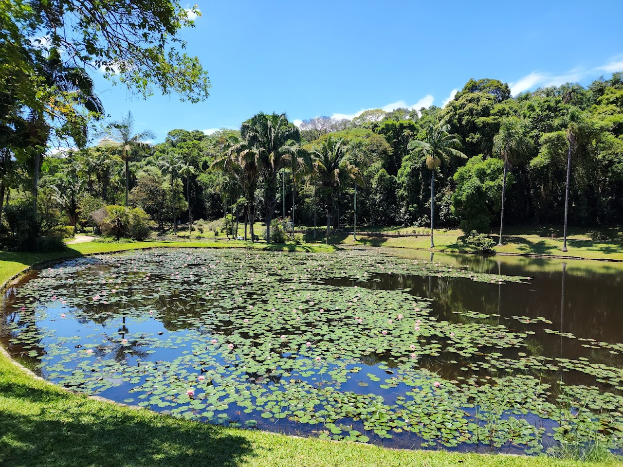 Parque Estadual das Fontes do Ipiranga, Бразилия