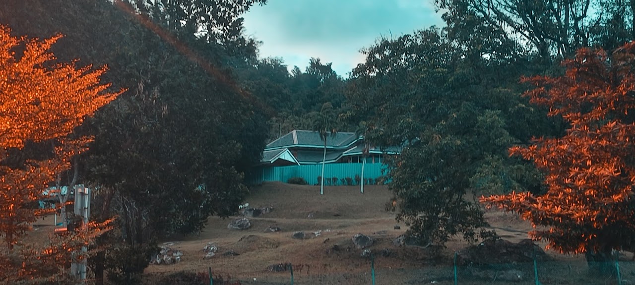 House of Twelve Roofs