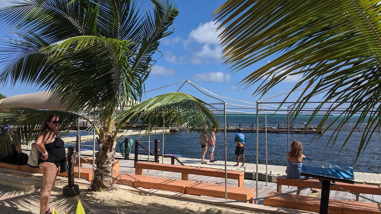 Dolphin Cove Cayman