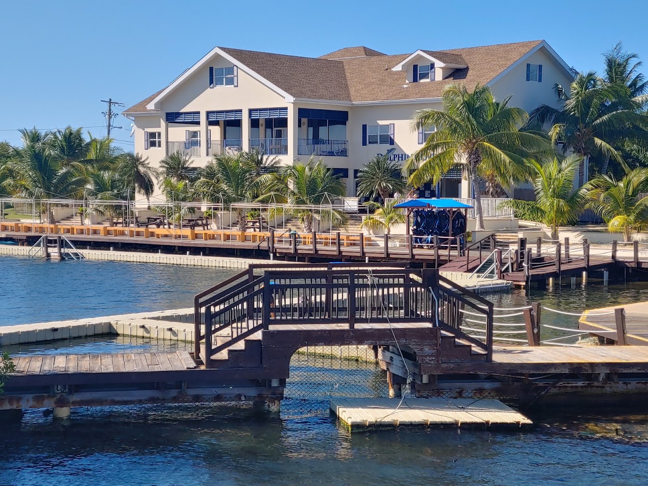 Dolphin Cove Cayman