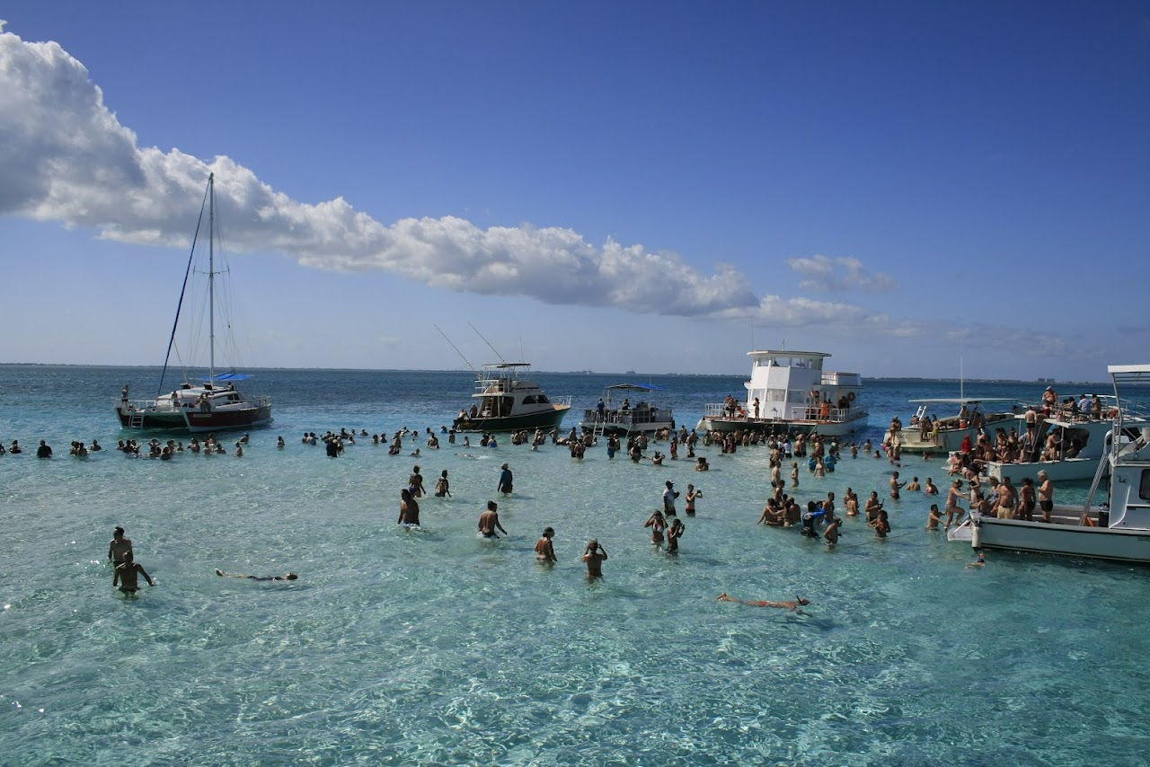 Dolphin Cove Cayman