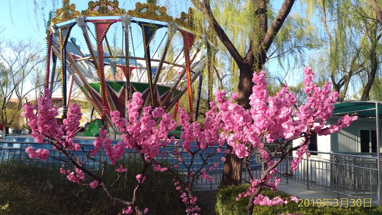 Chaoyang Park Recreation Ground