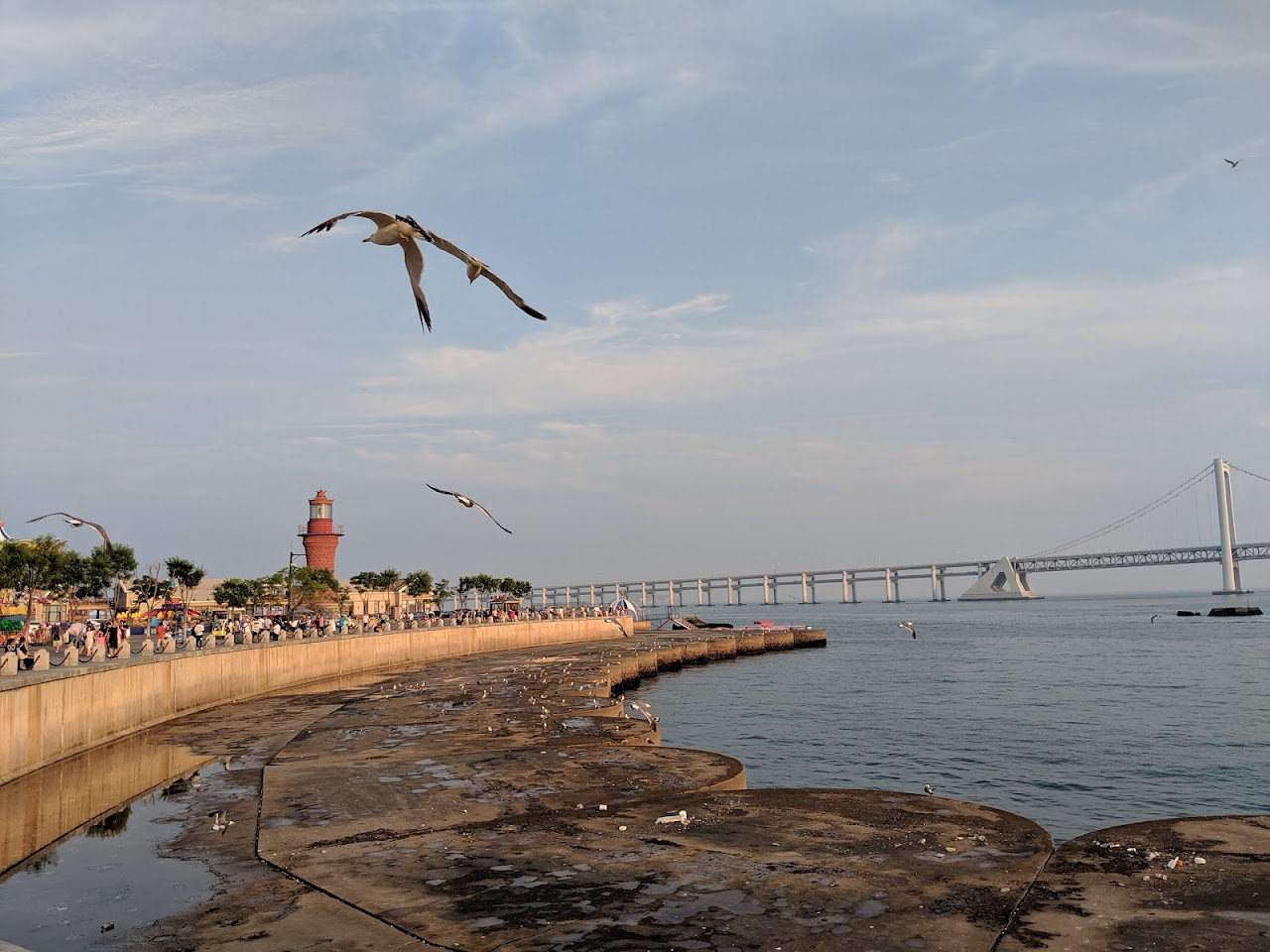 星海湾海水浴场, Далянь