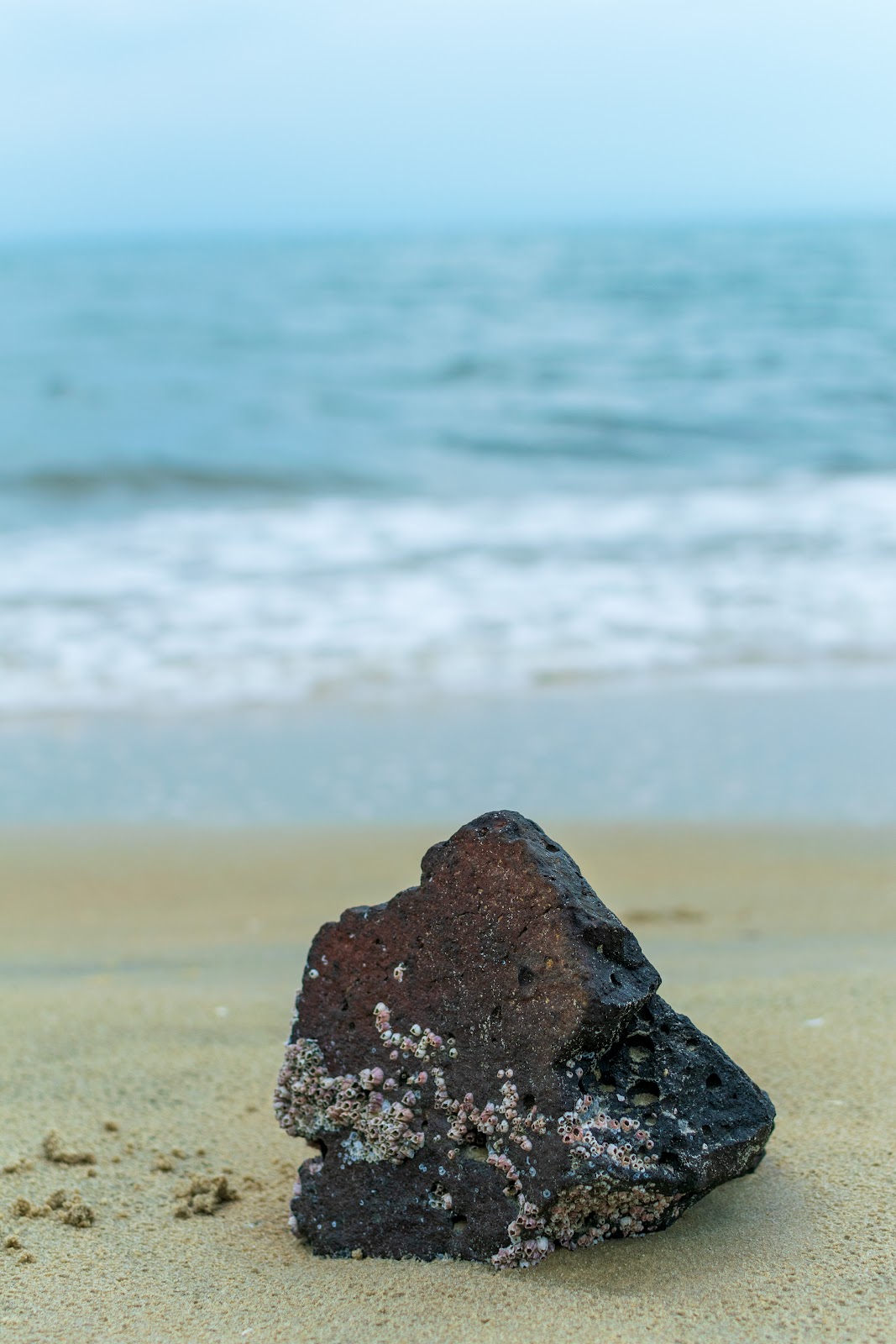 桂林洋海滨旅游区