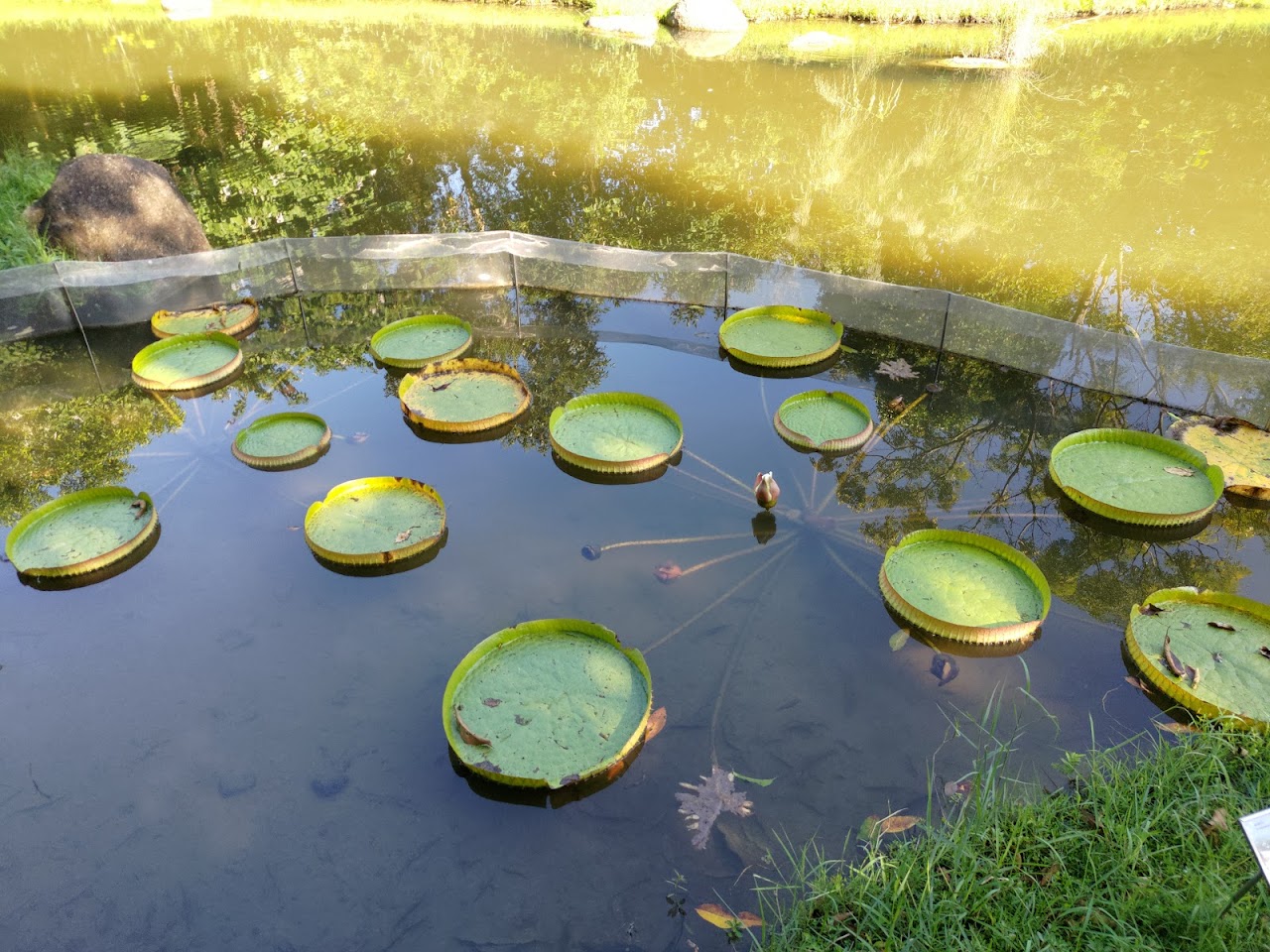 Парк водно-болотных угодий Гонконга