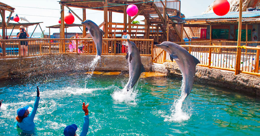 Acuario Rodadero Santa Marta, Санта-Марта