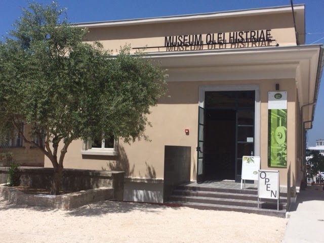 Istrian olive oil museum