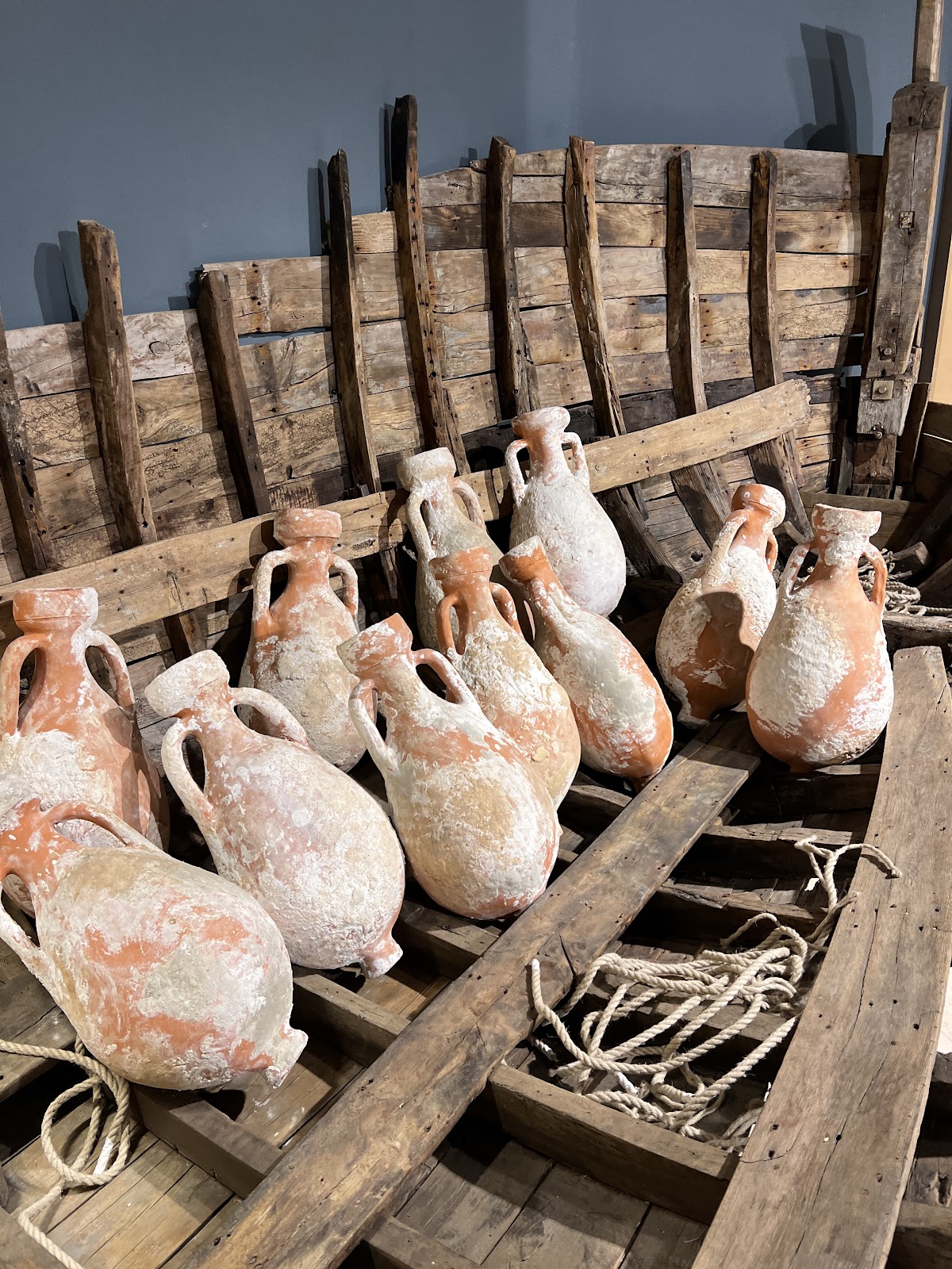 Istrian olive oil museum