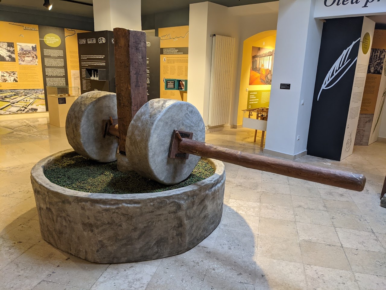 Istrian olive oil museum