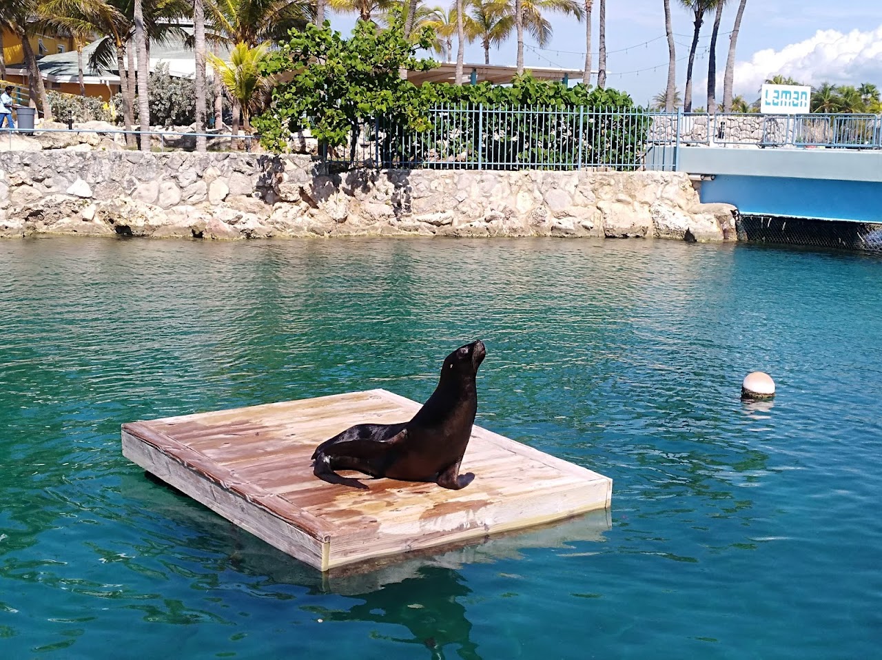 Curaçao Sea Aquarium, Кюрасао