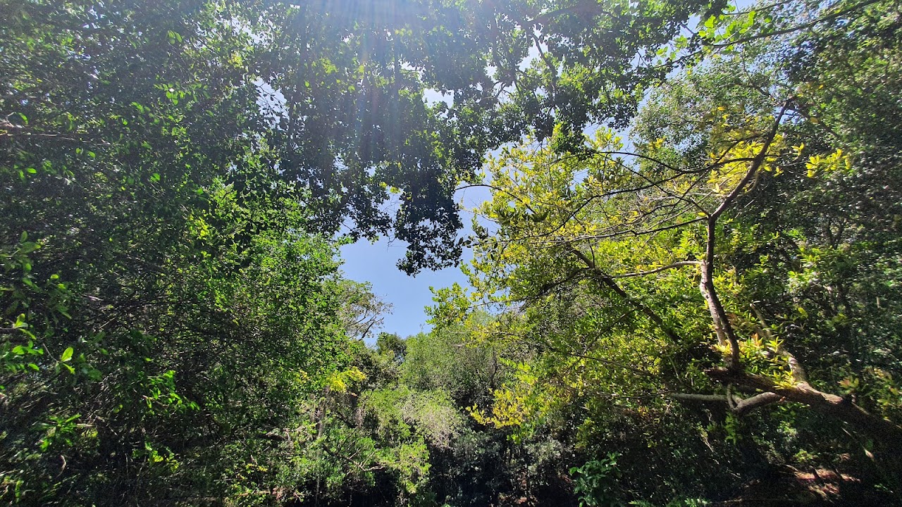 Laguna Guama