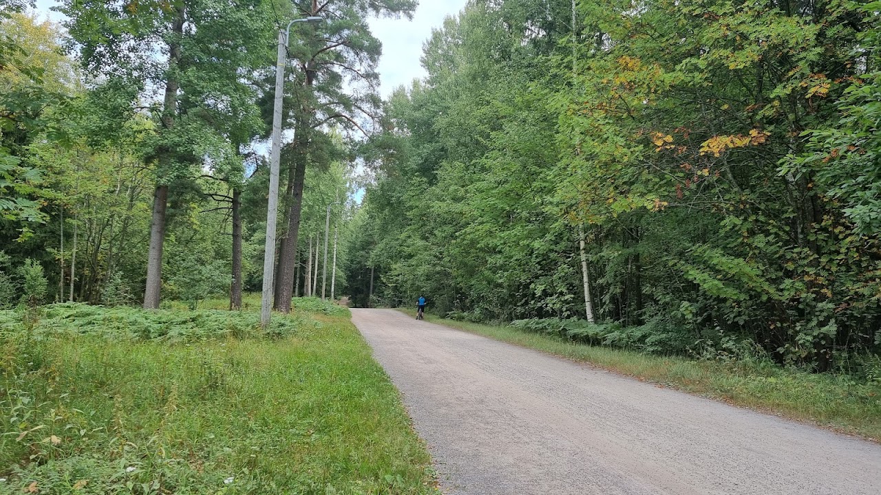 Центральный парк