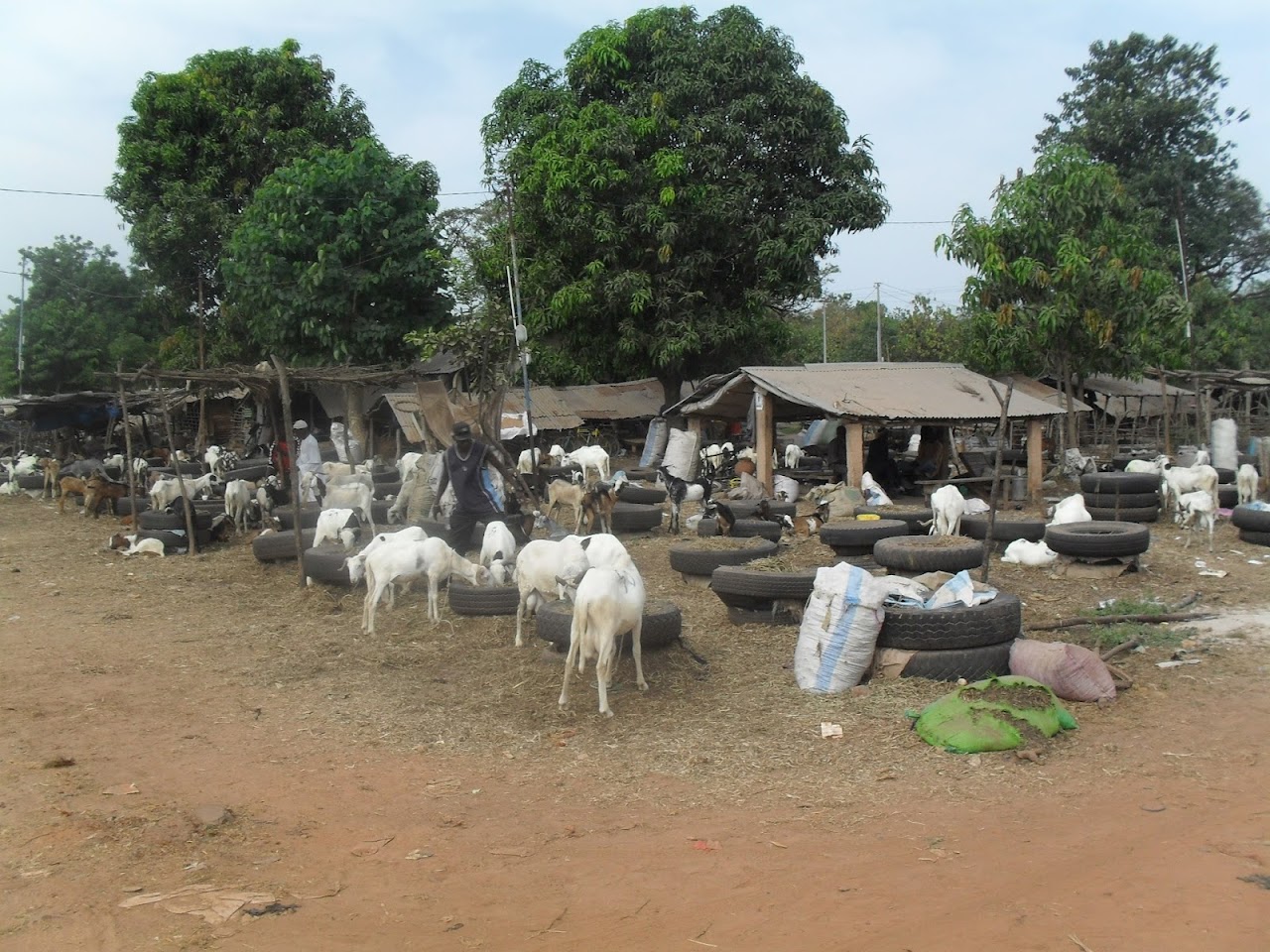 Brikama Craft Market, Банжул
