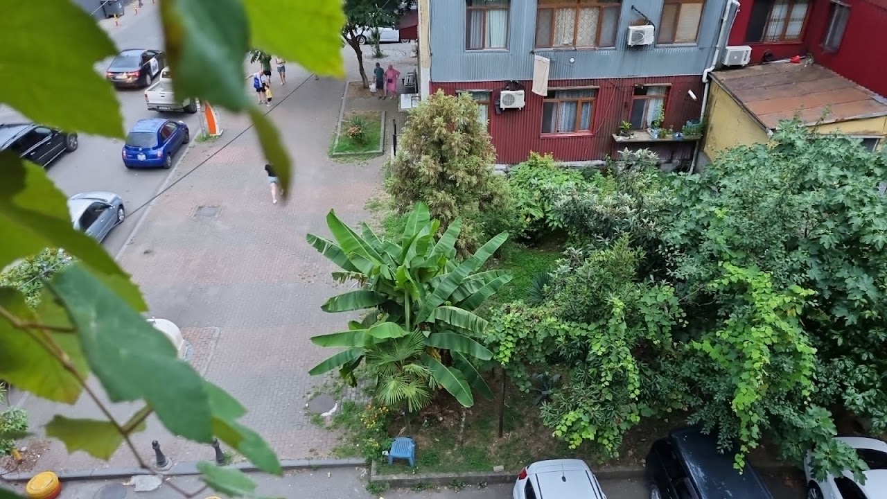 palms&laundry, Батуми