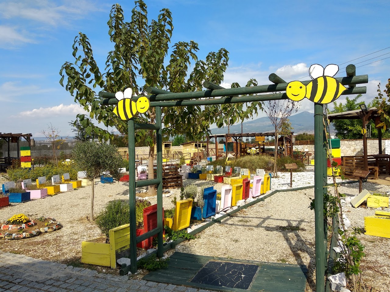 Anel Honey Park