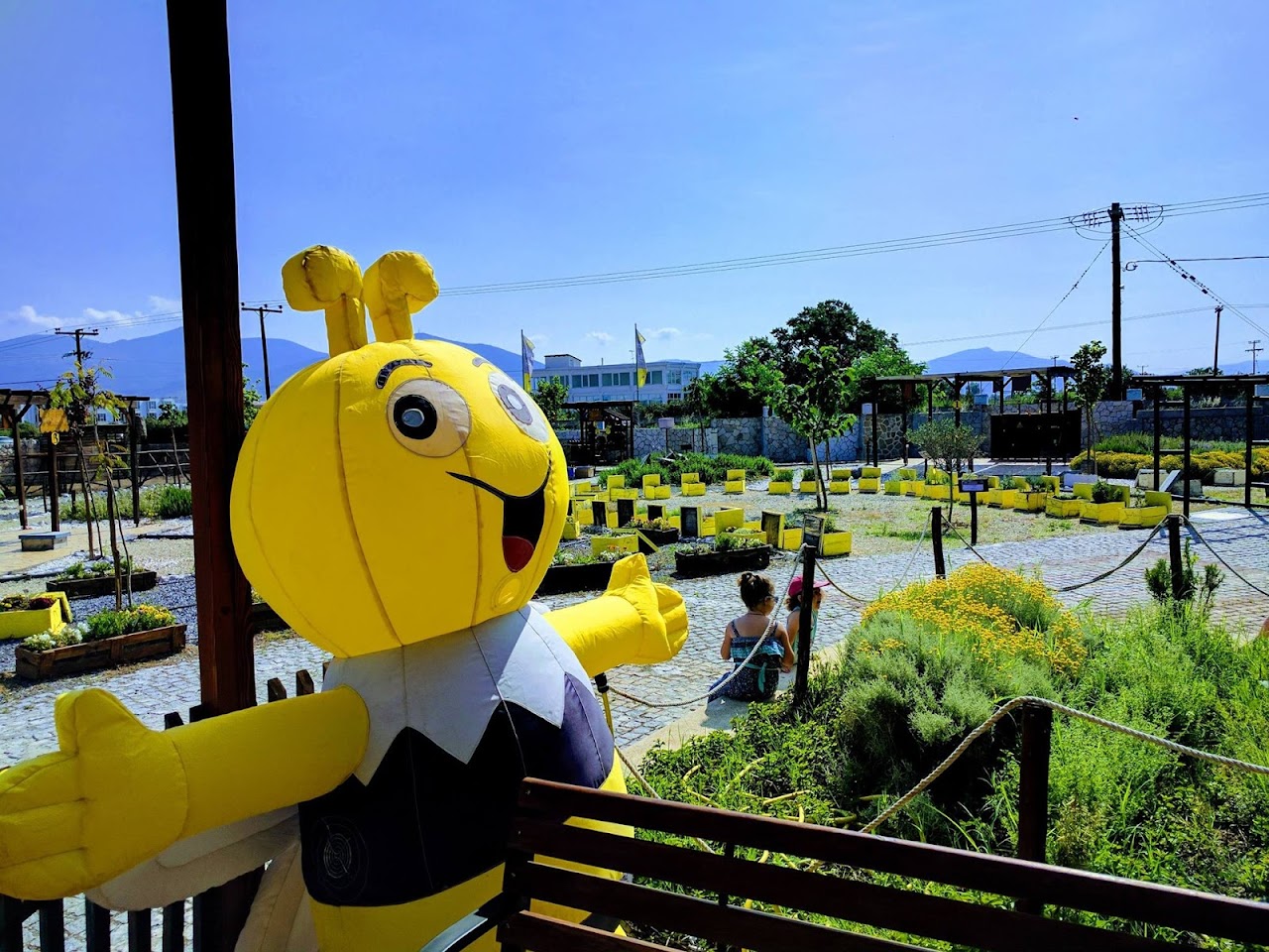 Anel Honey Park