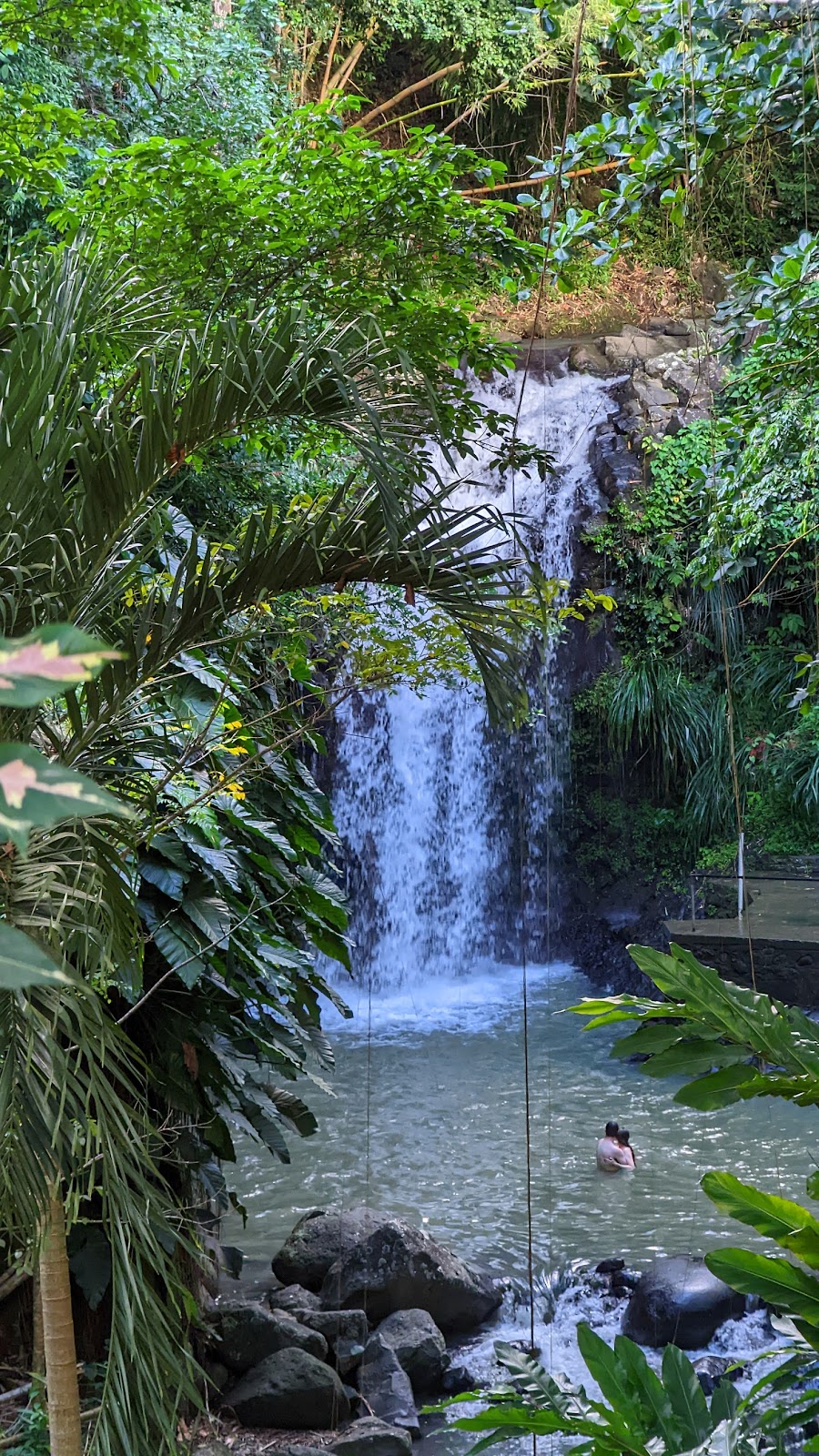 Annandale Waterfall & Forest Park