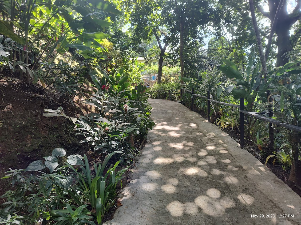 Annandale Waterfall & Forest Park