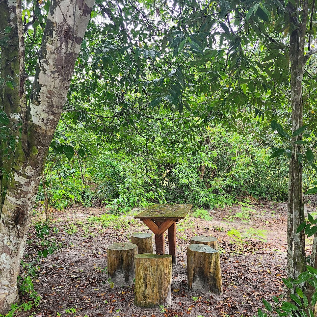 The Rs Farm | Agri-Eco Retreat | Outdoor Event Space