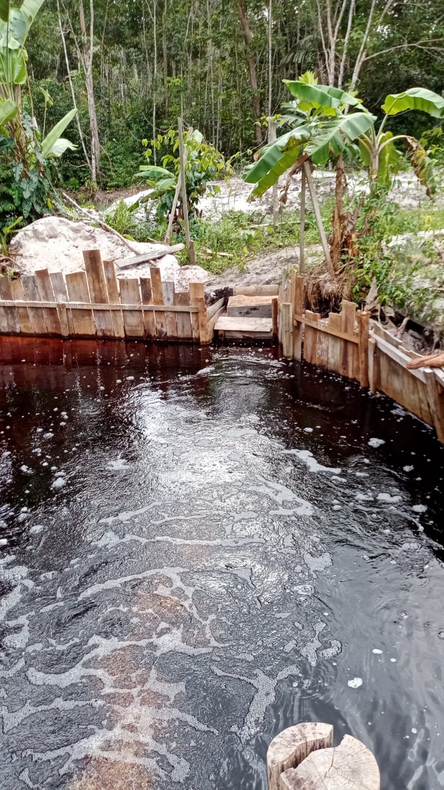 The Rs Farm | Agri-Eco Retreat | Outdoor Event Space