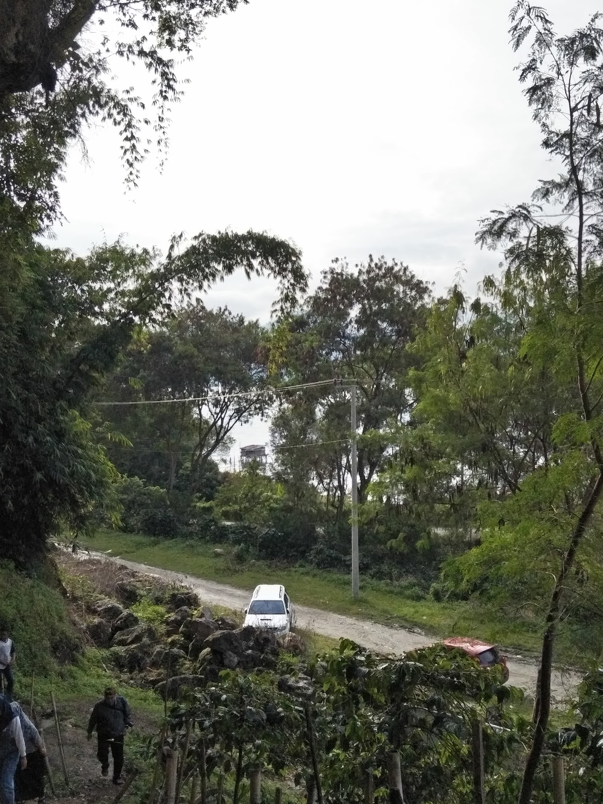 Loyang Mendale