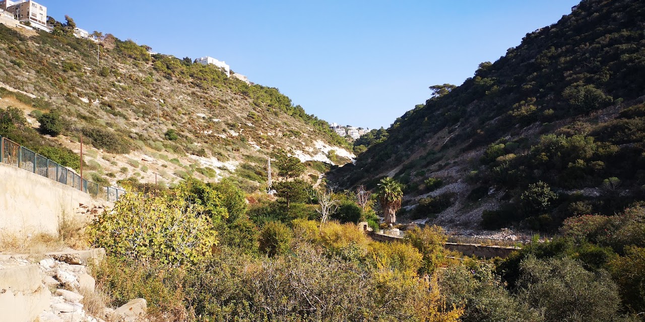 Bustan Khayat