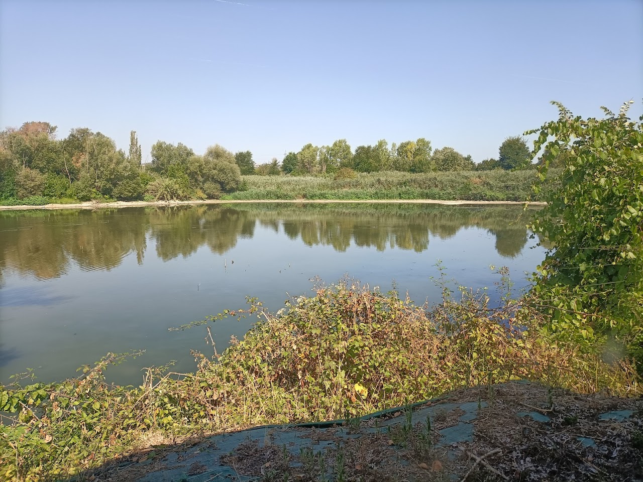 Riserva Naturale Ripa Bianca di Jesi, Анкона