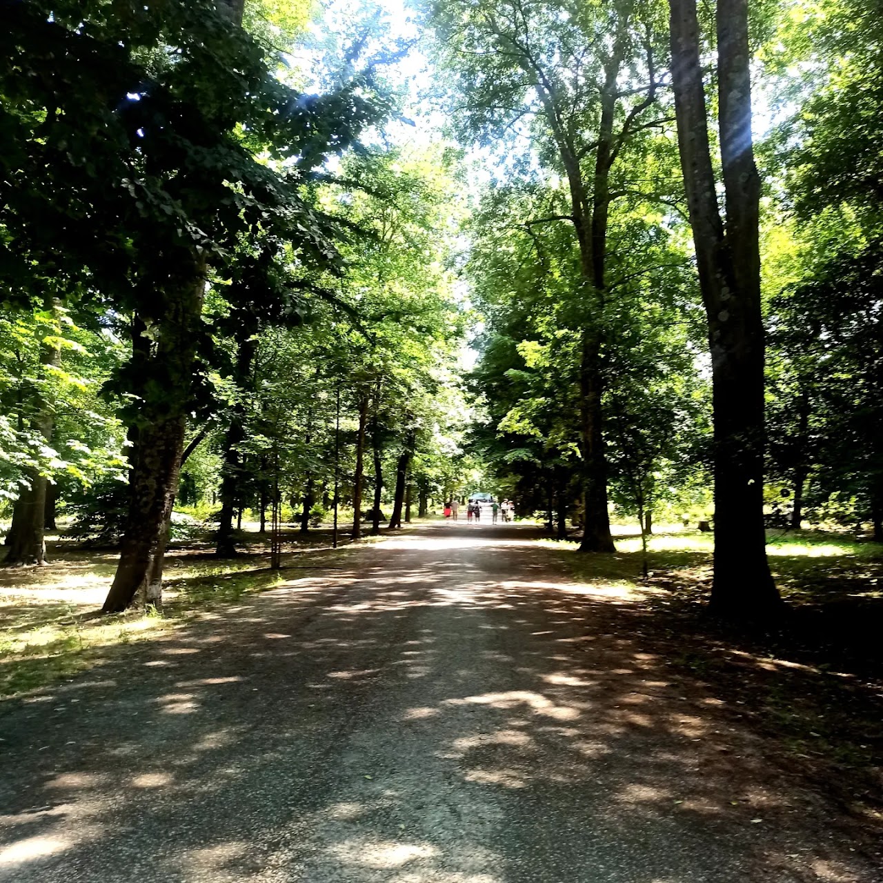 Parco delle Cascine