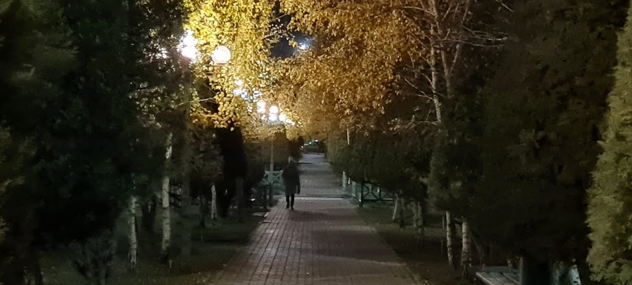 Өмір жолы
