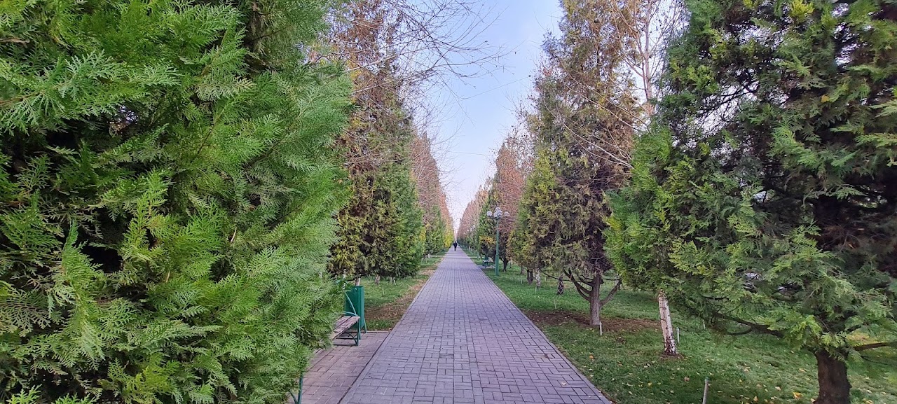 Өмір жолы