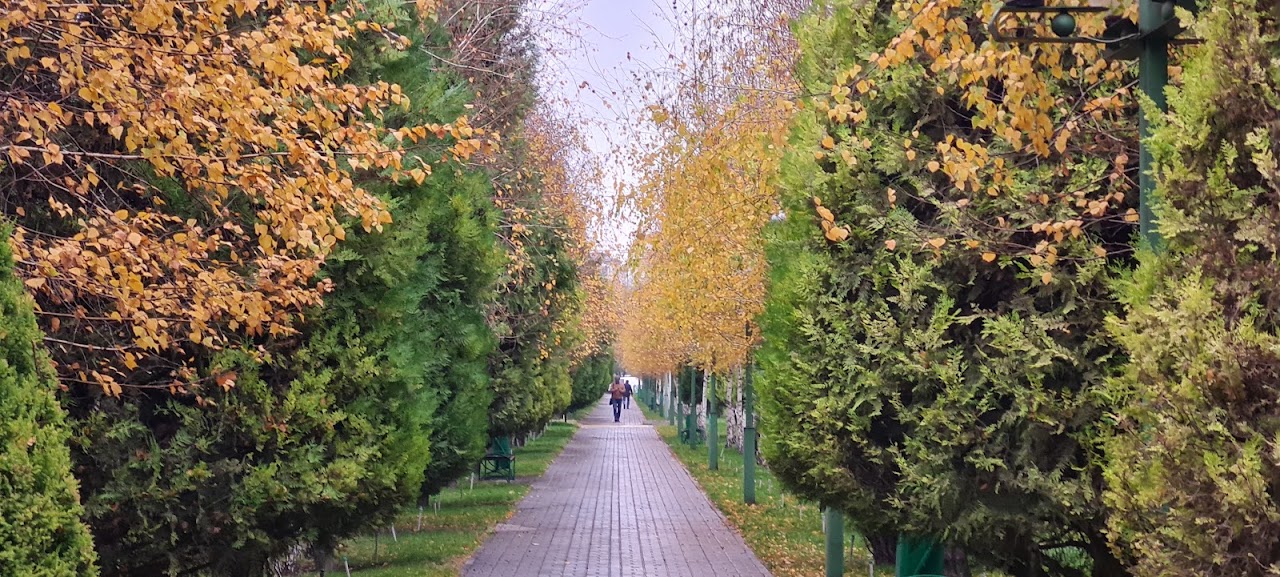 Өмір жолы