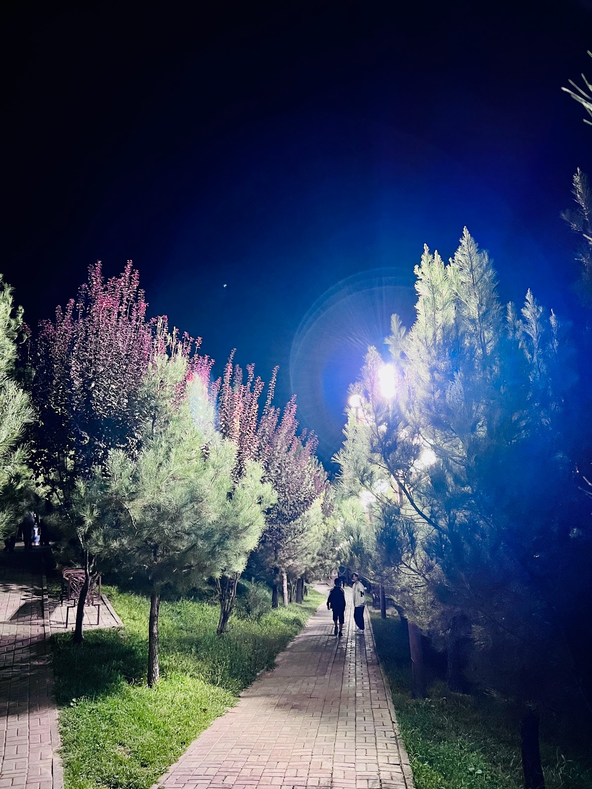 Парк «Жайлаукөл»