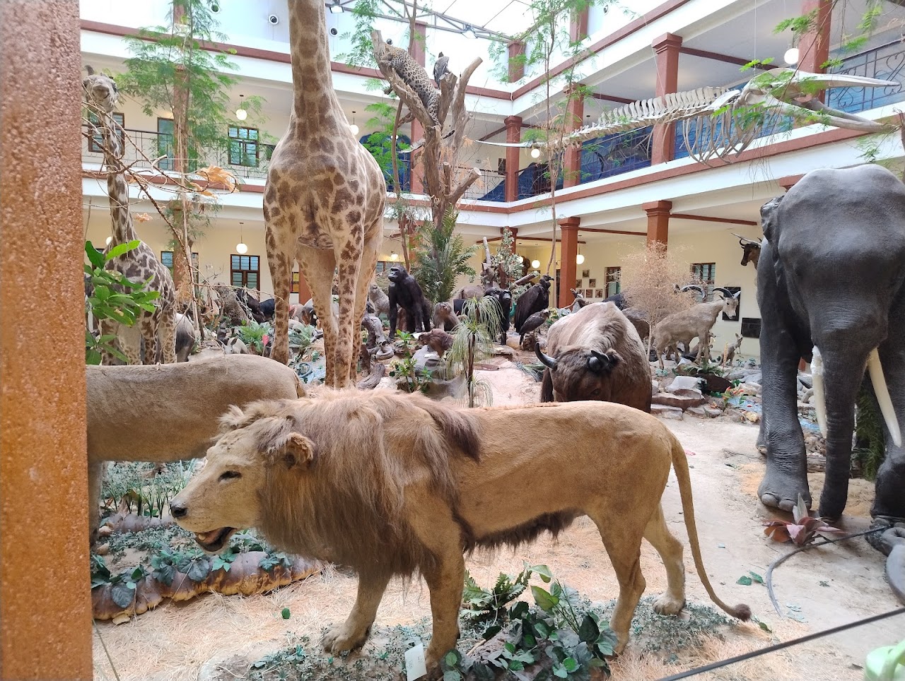 Bait Al Othman Museum, Эль-Кувейт