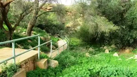نهر النسيان (نهر الليثون), Бенгази