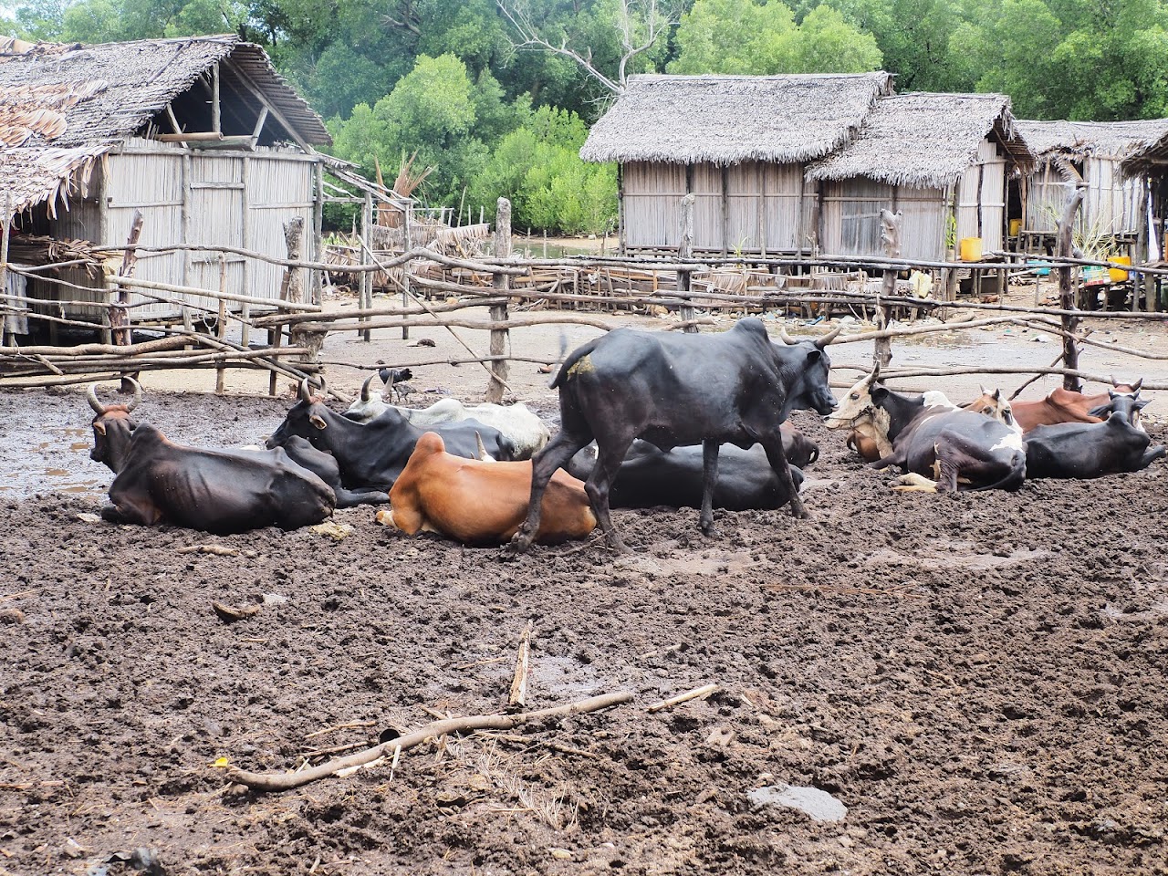 Ampasipohy Village, Нуси-Бе