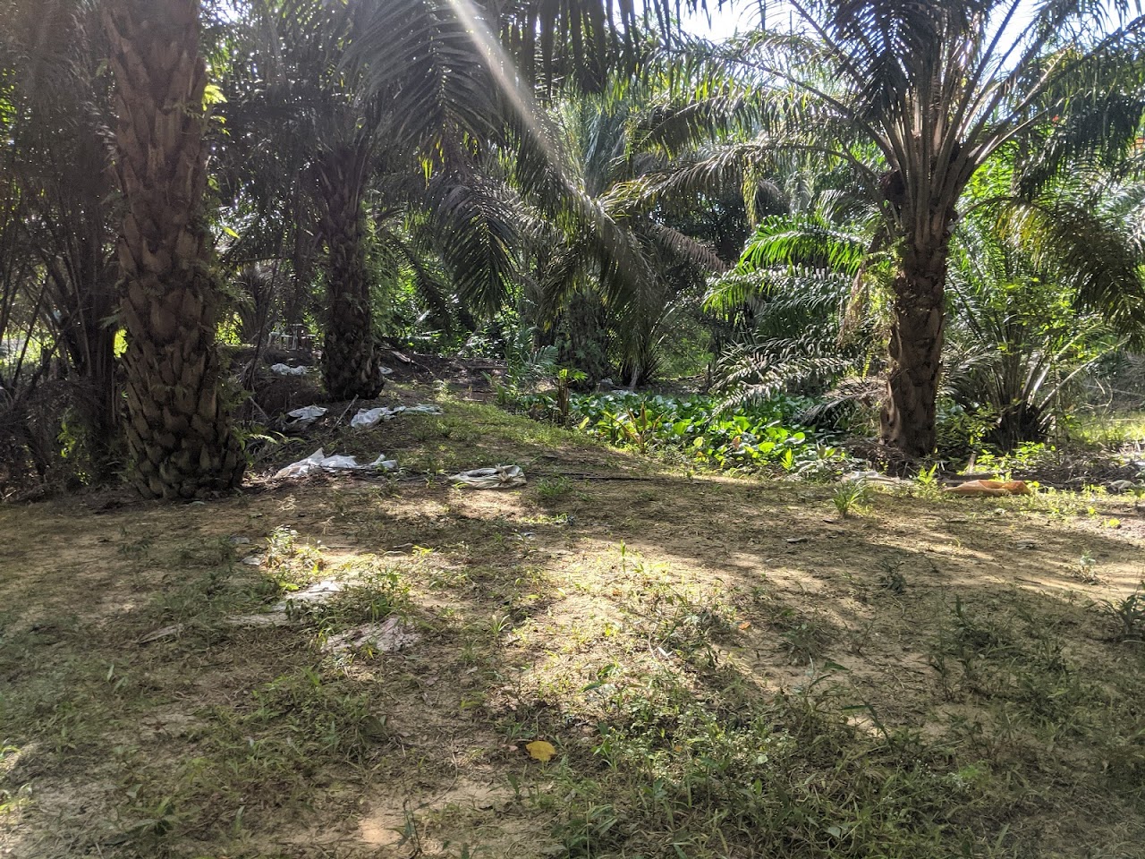 Indahpura Camping site, Джохор-Бару